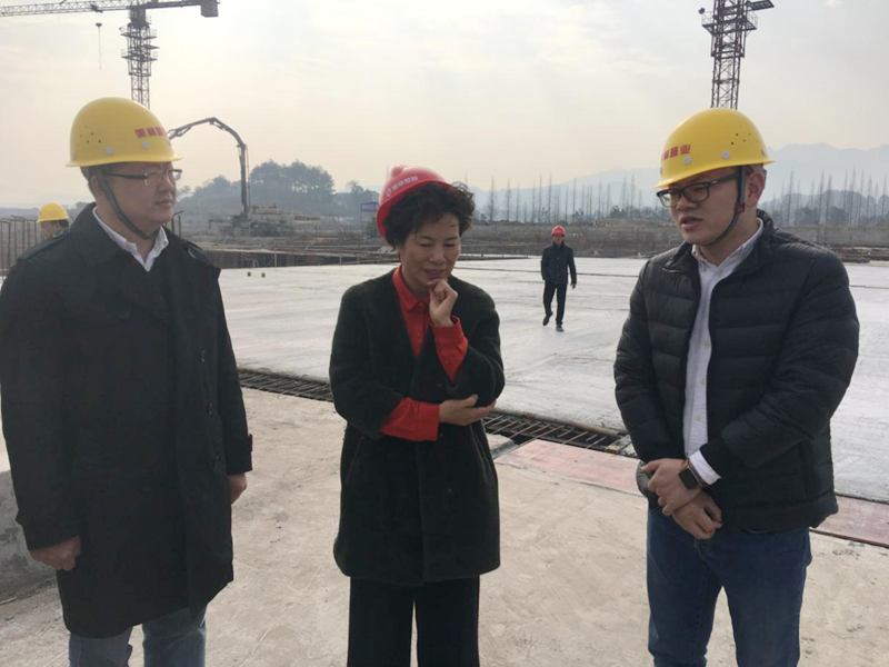 麗水市委常委、宣傳部長(zhǎng)任淑女調(diào)研松陽(yáng)美林&middot;南城壹號(hào)項(xiàng)目
