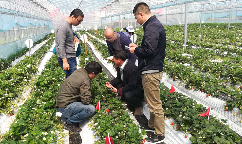 1561348304934359.jpg 3(1)_副本.jpg