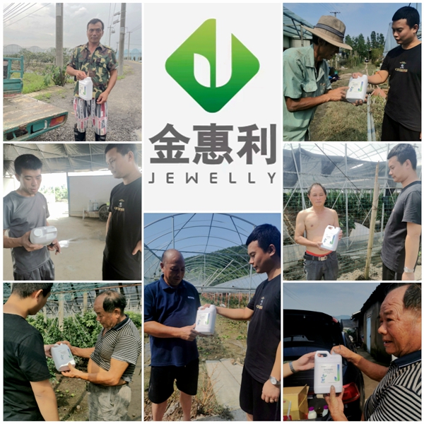 寧波金惠利為臺(tái)風(fēng)受災(zāi)地區(qū)&ldquo;農(nóng)友會(huì)&rdquo;成員送溫暖